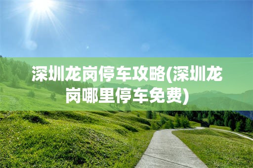 深圳龙岗停车攻略(深圳龙岗哪里停车免费)