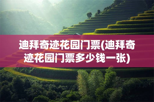 迪拜奇迹花园门票(迪拜奇迹花园门票多少钱一张)