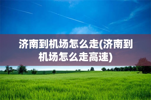 济南到机场怎么走(济南到机场怎么走高速)