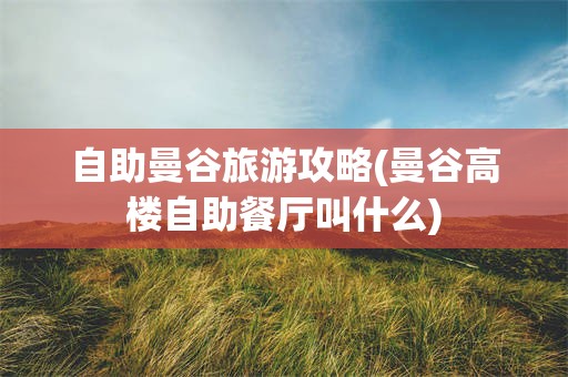 自助曼谷旅游攻略(曼谷高楼自助餐厅叫什么)