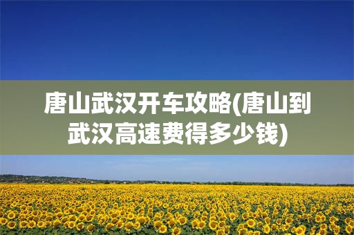 唐山武汉开车攻略(唐山到武汉高速费得多少钱)