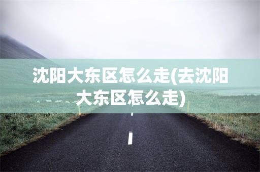 沈阳大东区怎么走(去沈阳大东区怎么走)