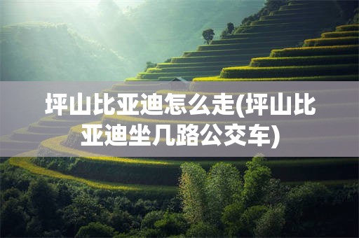 坪山比亚迪怎么走(坪山比亚迪坐几路公交车)