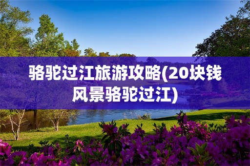 骆驼过江旅游攻略(20块钱风景骆驼过江)