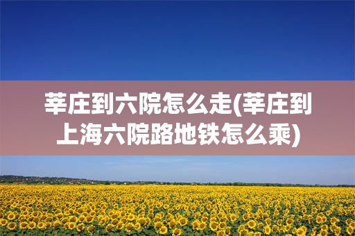 莘庄到六院怎么走(莘庄到上海六院路地铁怎么乘)