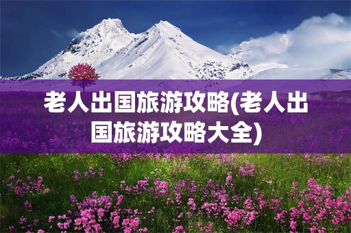 老人出国旅游攻略(老人出国旅游攻略大全)
