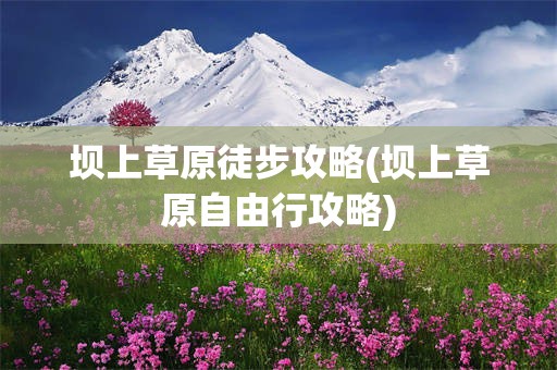 坝上草原徒步攻略(坝上草原自由行攻略)