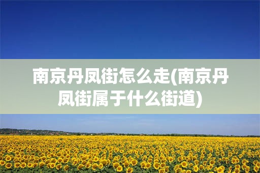 南京丹凤街怎么走(南京丹凤街属于什么街道)
