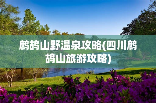 鹧鸪山野温泉攻略(四川鹧鸪山旅游攻略)