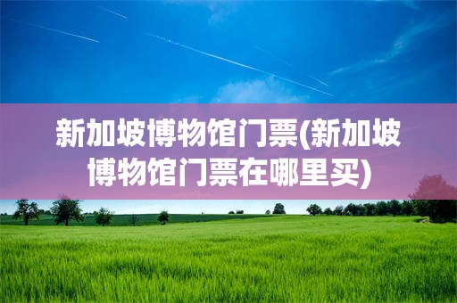 新加坡博物馆门票(新加坡博物馆门票在哪里买)