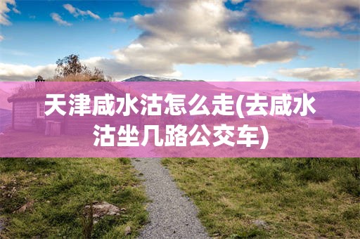 天津咸水沽怎么走(去咸水沽坐几路公交车)
