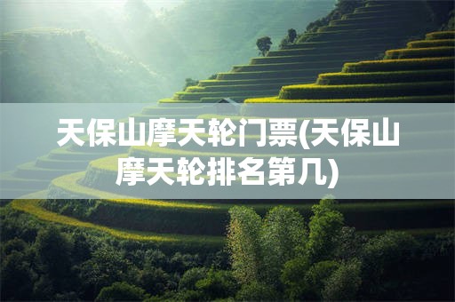 天保山摩天轮门票(天保山摩天轮排名第几)