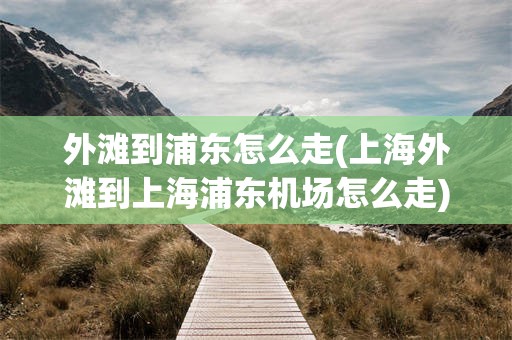 外滩到浦东怎么走(上海外滩到上海浦东机场怎么走)