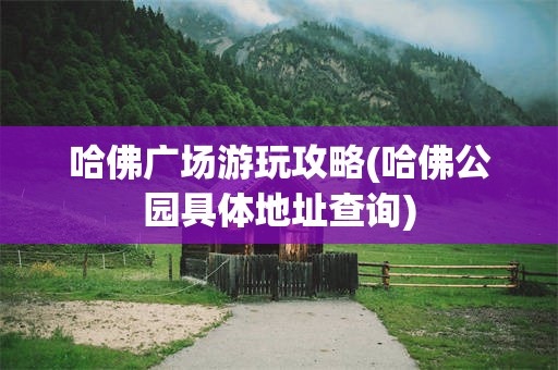 哈佛广场游玩攻略(哈佛公园具体地址查询)