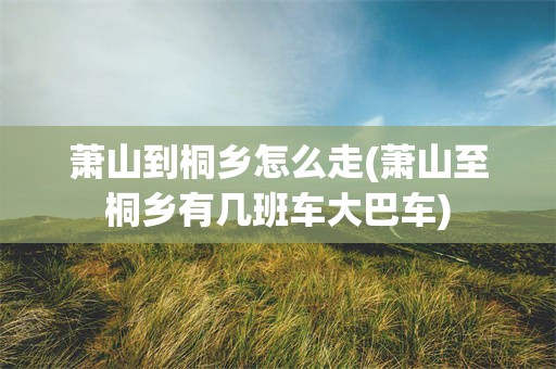 萧山到桐乡怎么走(萧山至桐乡有几班车大巴车)