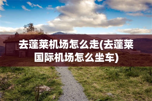 去蓬莱机场怎么走(去蓬莱国际机场怎么坐车)