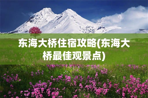 东海大桥住宿攻略(东海大桥最佳观景点)