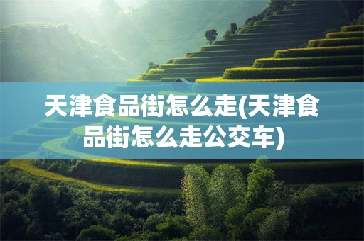 天津食品街怎么走(天津食品街怎么走公交车)