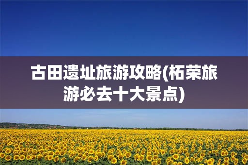古田遗址旅游攻略(柘荣旅游必去十大景点)