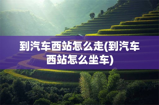 到汽车西站怎么走(到汽车西站怎么坐车)