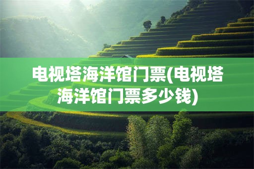 电视塔海洋馆门票(电视塔海洋馆门票多少钱)