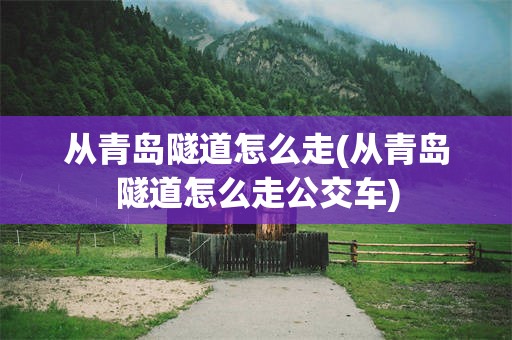 从青岛隧道怎么走(从青岛隧道怎么走公交车)