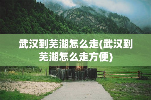 武汉到芜湖怎么走(武汉到芜湖怎么走方便)