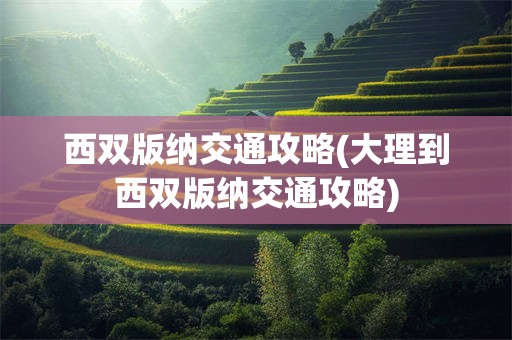 西双版纳交通攻略(大理到西双版纳交通攻略)