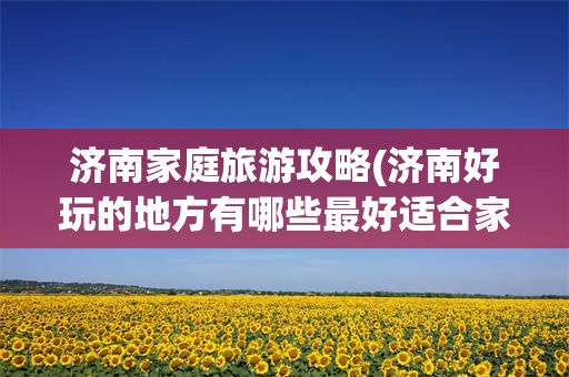 济南家庭旅游攻略(济南好玩的地方有哪些最好适合家庭)