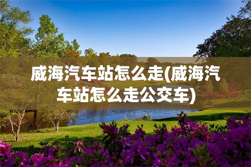威海汽车站怎么走(威海汽车站怎么走公交车)