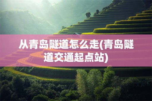 从青岛隧道怎么走(青岛隧道交通起点站)