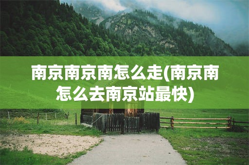 南京南京南怎么走(南京南怎么去南京站最快)