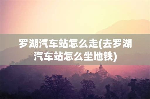 罗湖汽车站怎么走(去罗湖汽车站怎么坐地铁)