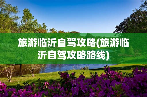 旅游临沂自驾攻略(旅游临沂自驾攻略路线)