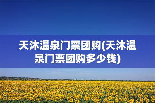 天沐温泉门票团购(天沐温泉门票团购多少钱)