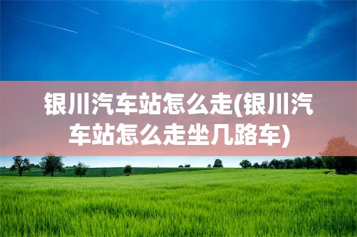 银川汽车站怎么走(银川汽车站怎么走坐几路车)