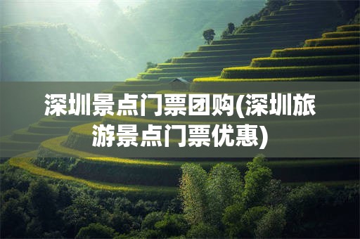 深圳景点门票团购(深圳旅游景点门票优惠)