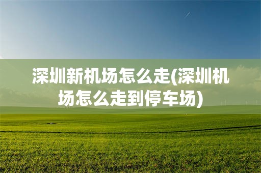 深圳新机场怎么走(深圳机场怎么走到停车场)