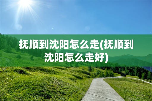 抚顺到沈阳怎么走(抚顺到沈阳怎么走好)