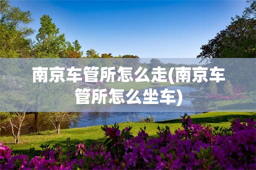 南京车管所怎么走(南京车管所怎么坐车)