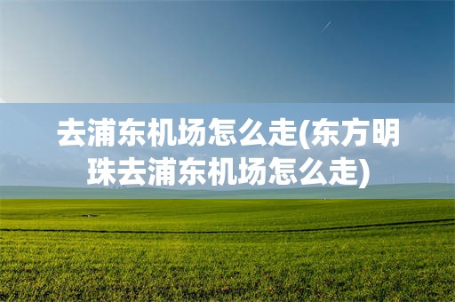 去浦东机场怎么走(东方明珠去浦东机场怎么走)