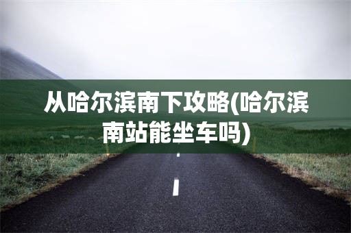 从哈尔滨南下攻略(哈尔滨南站能坐车吗)
