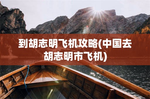 到胡志明飞机攻略(中国去胡志明市飞机)