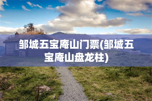 邹城五宝庵山门票(邹城五宝庵山盘龙柱)
