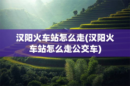 汉阳火车站怎么走(汉阳火车站怎么走公交车)