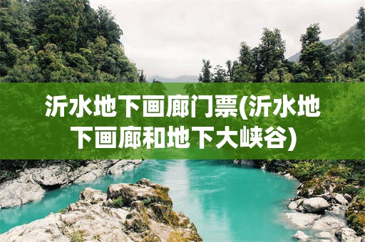 沂水地下画廊门票(沂水地下画廊和地下大峡谷)