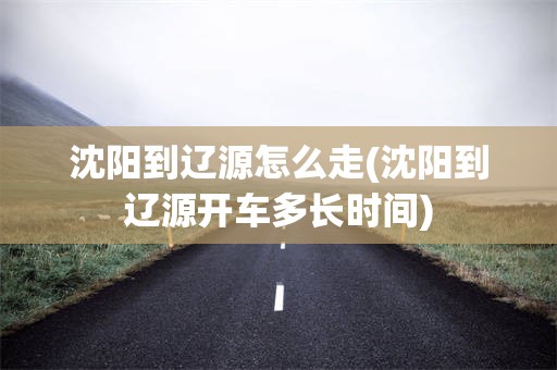 沈阳到辽源怎么走(沈阳到辽源开车多长时间)