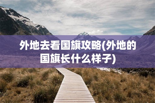 外地去看国旗攻略(外地的国旗长什么样子)