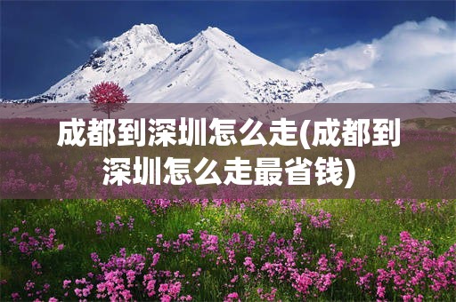 成都到深圳怎么走(成都到深圳怎么走最省钱)