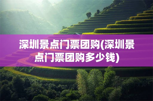 深圳景点门票团购(深圳景点门票团购多少钱)